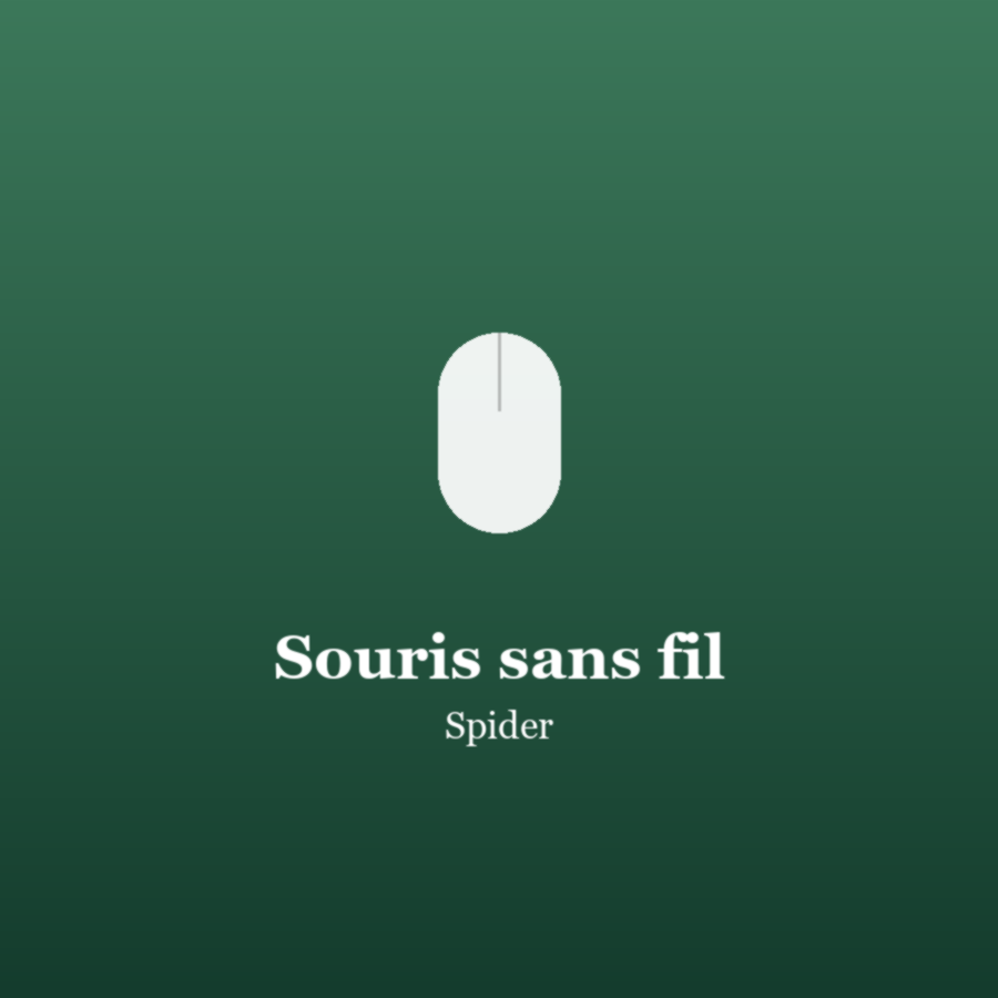Souris sans fil - Spider
