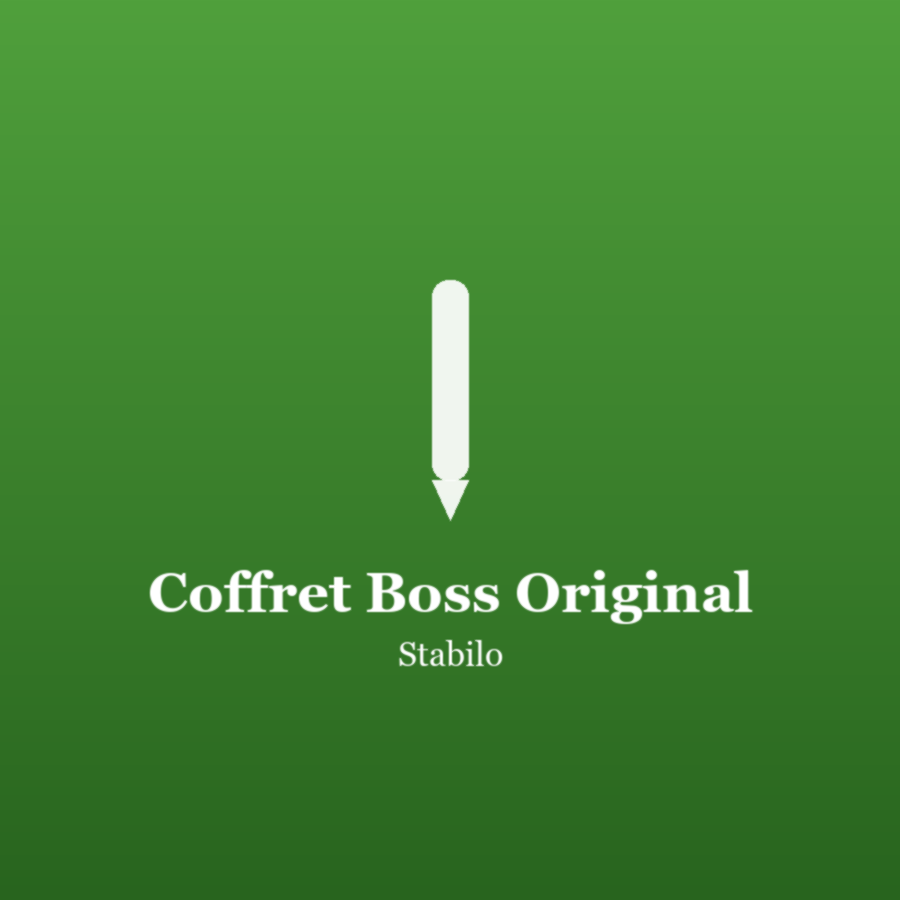 Coffret Boss Original - Stabilo